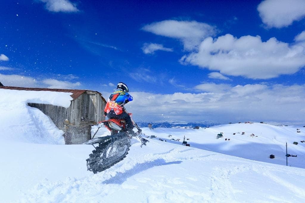 Snowbike pine forest